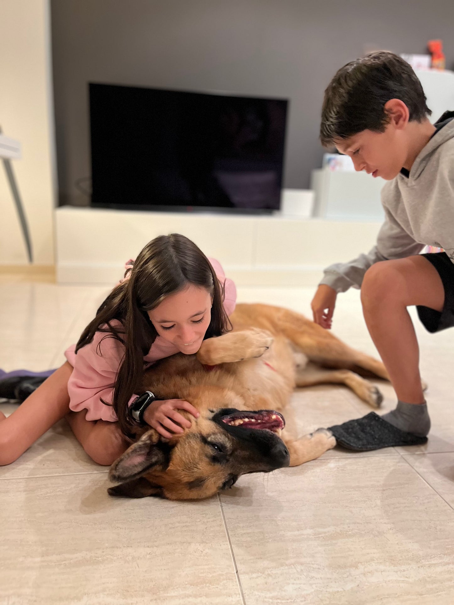 Dessuadora amb caputxa home LOVE PETS